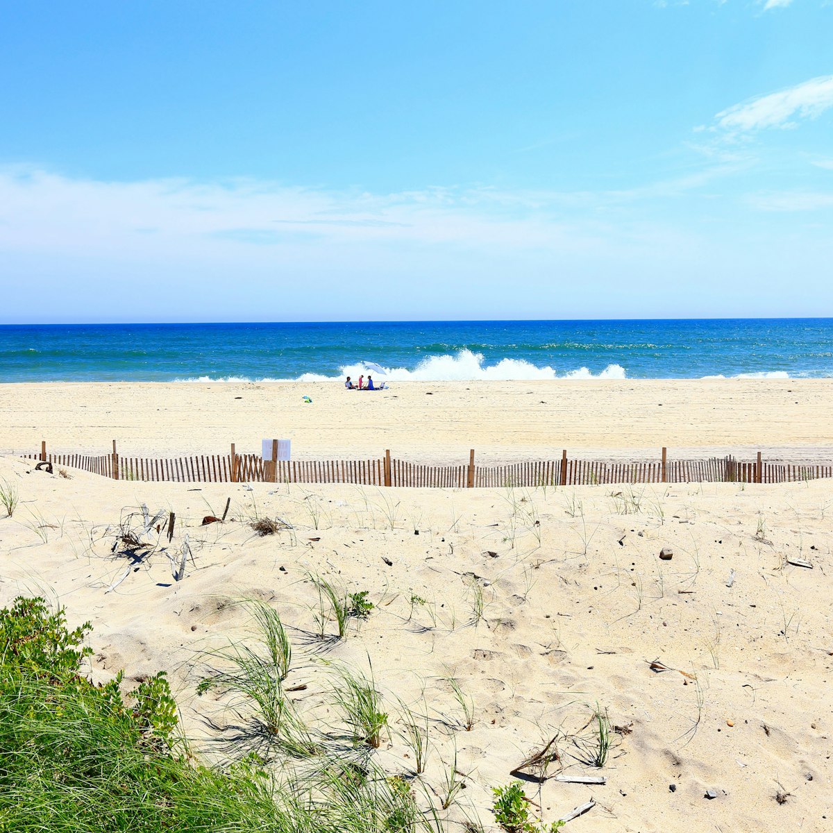 USA, New York state . Fire island. Point O'Woods.Ocean side beach.
Fire Island National Seashore